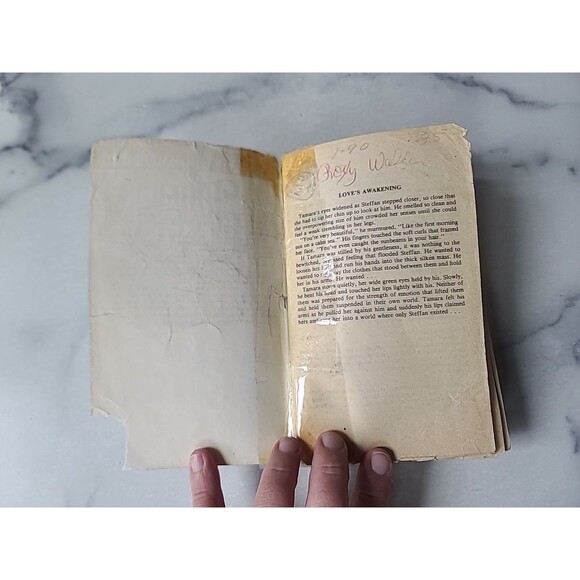 Tamara's Ecstasy By Sylvie F. Summerfield Paperback - Picture 2 of 10